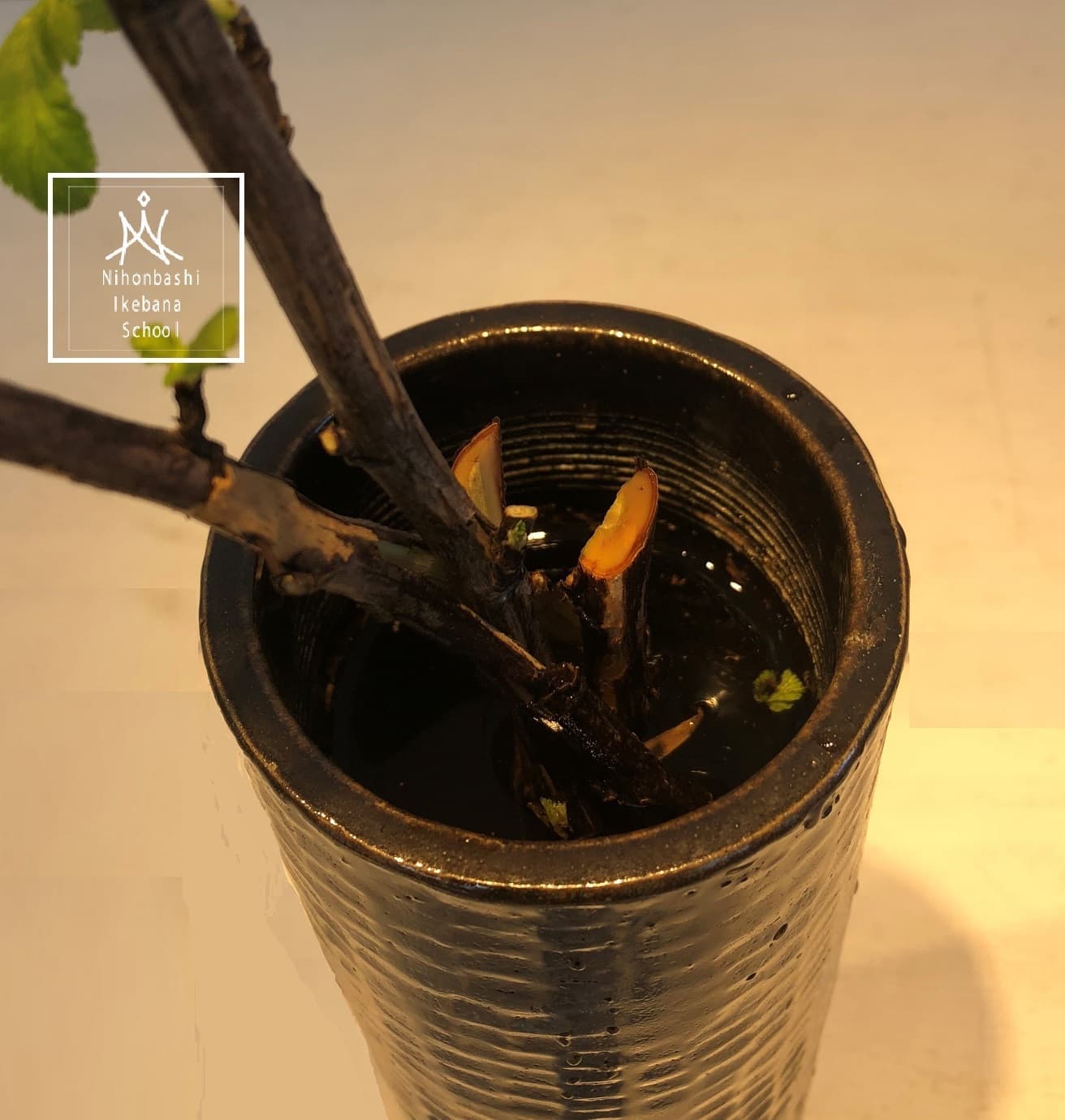 縦添え木留め投入2